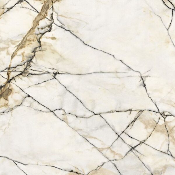 Blat kompaktowy 423 C calacatta gold